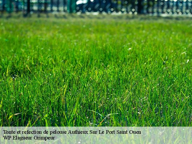 Tonte et refection de pelouse  authieux-sur-le-port-saint-ouen-76520 WP Elagueur Grimpeur