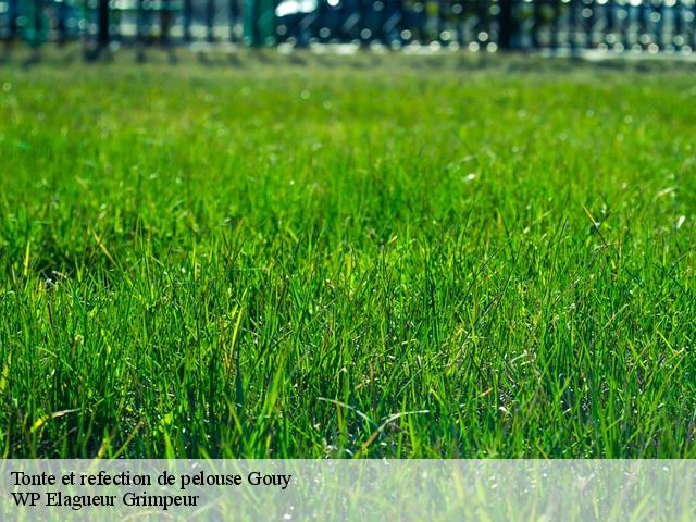 Tonte et refection de pelouse  gouy-76520 WP Elagueur Grimpeur