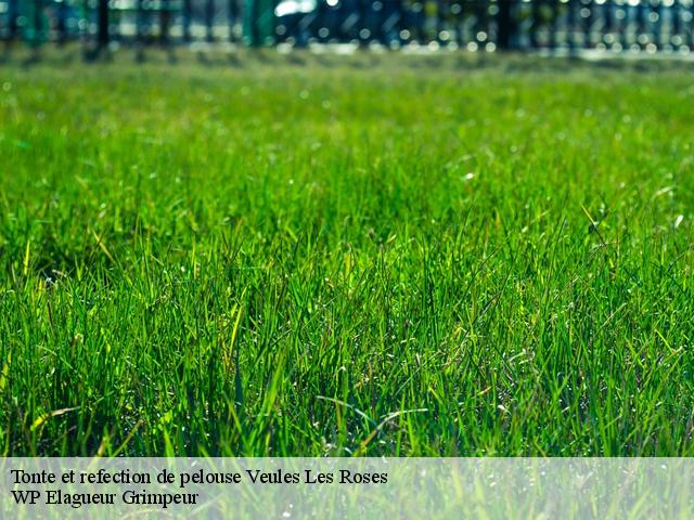 Tonte et refection de pelouse  veules-les-roses-76980 WP Elagueur Grimpeur
