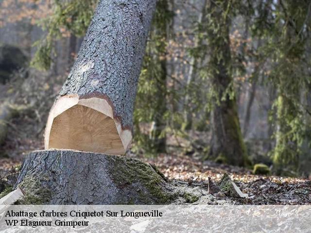 Abattage d'arbres  criquetot-sur-longueville-76590 WP Elagueur Grimpeur