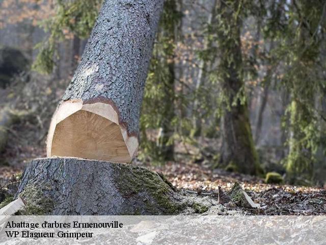 Abattage d'arbres  ermenouville-76740 WP Elagueur Grimpeur