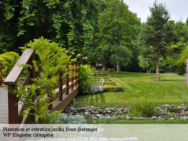 Plantation et entretien jardin  bosc-berenger-76680 WP Elagueur Grimpeur