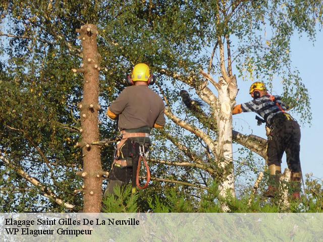 Elagage  saint-gilles-de-la-neuville-76430 WP Elagueur Grimpeur