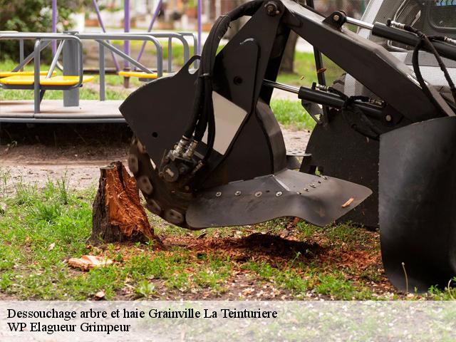 Dessouchage arbre et haie  grainville-la-teinturiere-76450 WP Elagueur Grimpeur