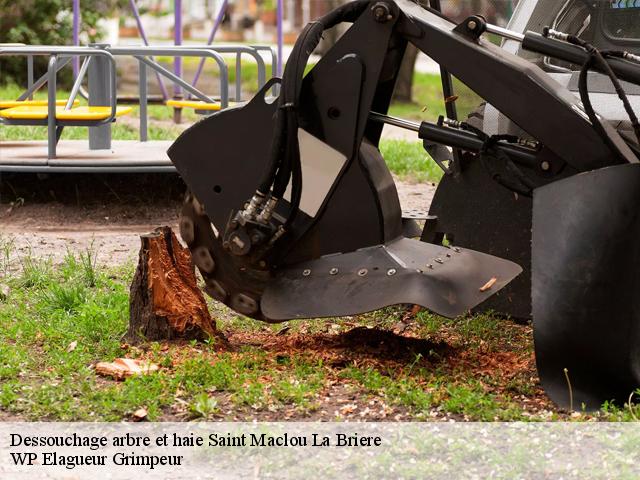 Dessouchage arbre et haie  saint-maclou-la-briere-76110 WP Elagueur Grimpeur